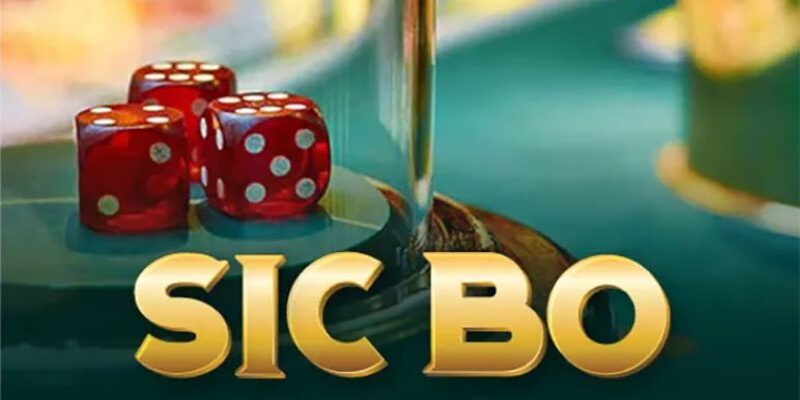 Dòng game Sicbo mang đến hội viên đa dạng hình thức cá cược khác nhau